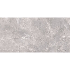 Sakarya Gri 60x120 Full Parlak