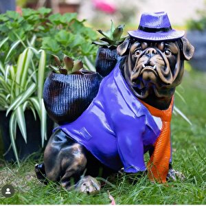 By Ari̇ Şapkali Bulldog Köpek Bd158-4