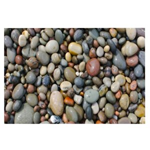 Doğal Deniz Taşı 1-3cm Aralığında 1 Kg Teraryum Akvaryum Çiçek Süsleme
