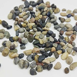 Doğal Deniz Taşı 1-3cm Aralığında 1 Kg Teraryum Akvaryum Çiçek Süsleme