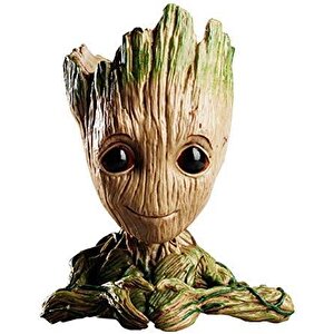 Groot Saksı Kalpli Bonsai Saksısı Kalemlik Sukulent Sphagnum Yosunlar
