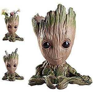 Groot Saksı Kalpli Bonsai Saksısı Kalemlik Sukulent Sphagnum Yosunlar