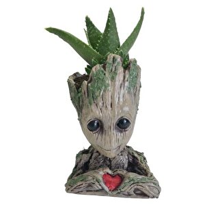 Groot Saksı Kalpli Bonsai Saksısı Kalemlik Sukulent Sphagnum Yosunlar