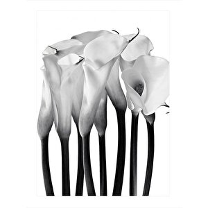 Beyaz Çiçekler Dekoratif Ahşap Tablo 25cmx 35cm 25x35 cm