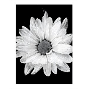 Beyaz Çiçek Mdf Tablo 25cmx 35cm 25x35 cm