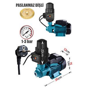 Elektrikli 220v Otomatik Sistem Metal Dişli Bakır Sargılı Su Pompası 0.50hp Ev Tipi Paket Hidrofor