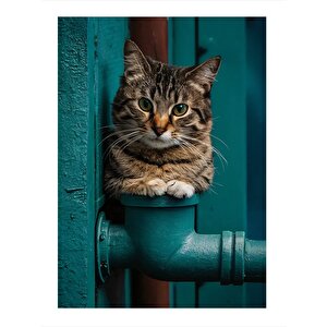 Boruda Oturan Sevimli Kedi Model Mdf Tablo 35cm X50cm 35x50 cm