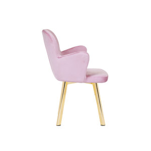 Marka Di̇zayn Salon/mutfak Sandalyesi̇ (baby Faces Kumaş /GOLD AYAK ) KELEBEK PEMBE Pembe