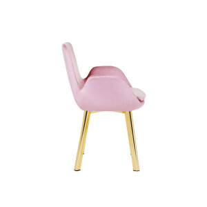 Marka ELZ  Salon/mutfak Sandalyesi̇ (baby Faces Kumaş/gold Ayak ) Pescado Pembe