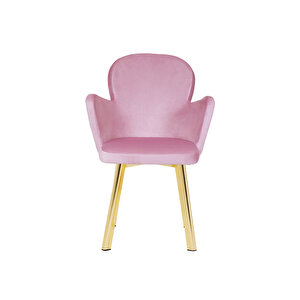 Salon/mutfak Sandalyesi̇ (baby Faces Kumaş/gold Ayak) Kelebek Pembe