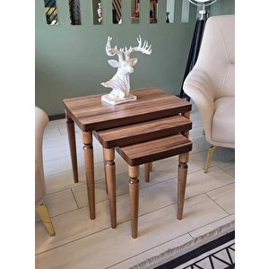 3lü Lüx Zigon Sehpa Full Ceviz