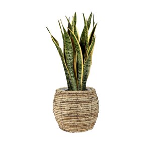 Lida Kahverengi Sepet Saksı Çap: 26cm Yükseklik: 24cm