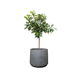 Anouk Gri Seramik Saksı Çap 37cm Yükseklik 32cm
