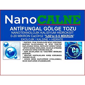 Nano Calne Antifungal Gölge Tozu 5kg
