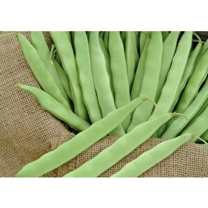 Kardelen Oturak Şeker Fasulyesi̇ (i̇laçli) 500 Gr