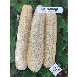 Li̇f Kabaği Tohumu 10 Adet Tohum