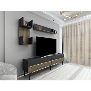 Tedy Tv Ünitesi Takımı Antrasit-Ceviz-Altın