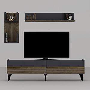 Tedy Tv Ünitesi Takımı Antrasit-Ceviz-Altın
