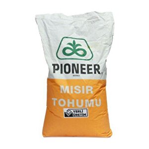 Pioneer Slaj Mısır Tohumu 31y43