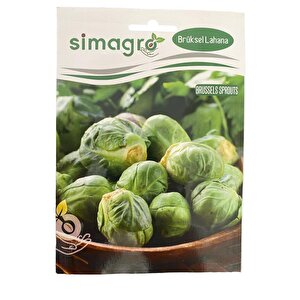 Simagro Brüksel Lahanası