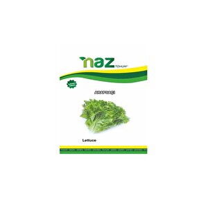 Naz Tohum Arapsaçı Marul Yazlık Kıvırcık 10 Gr