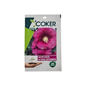 Çoker Hatmi Çiçeği Çiçek Tohumu