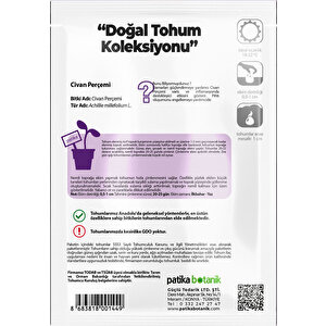 Arzuman Civanperçemi Çiçeği Tohumu