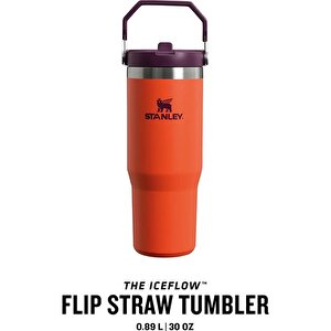 The Iceflow Flip Straw Pipetli Termos Bardak 0,89 Lt