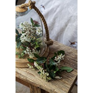 Apricitas Home Elysian Bej Tek Kişilik Nevresim Takımı