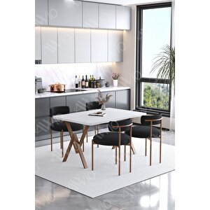 Lionte Teddy Sandalye 80x120 Yemek Masası Mutfak Masası 4 Kişilik Masa Sandalye Takımı(bukle Kumaş)