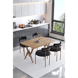 Lionte Teddy Sandalye 80x120 Yemek Masası Mutfak Masası 4 Kişilik Masa Sandalye Takımı(bukle Kumaş)