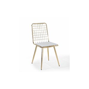Home Eylül Gold Kalın Tel Sandalye