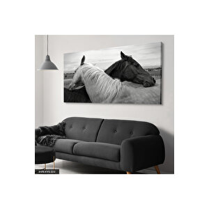 Siyah Beyaz At Kanvas Canvas Tablo