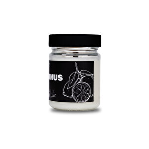 Nocte Autumnus Limon Ve Fesleğen Kokulu Soya Mum