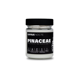 Nocte Pinaceae Çam Kokulu Soya Mum