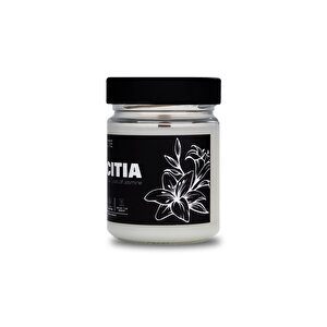 Nocte Pudicitia Zambak Kokulu Soya Mum