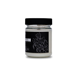 Nocte Refugium Bebek Pudrası Kokulu Soya Mum