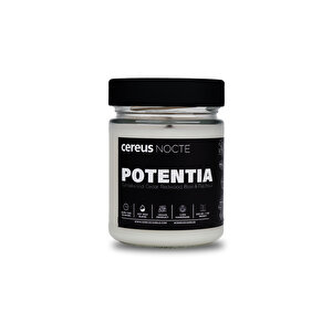 Nocte Potentia Sandal Ağacı Kokulu Soya Mum