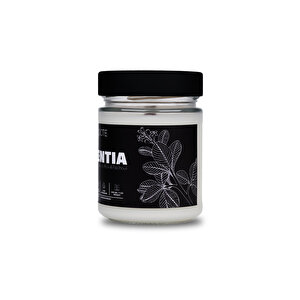 Nocte Potentia Sandal Ağacı Kokulu Soya Mum
