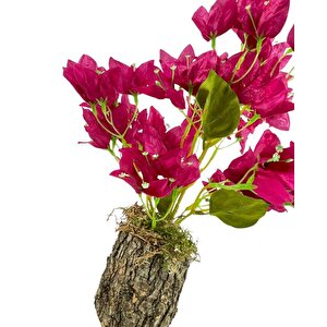 Yapay Çiçek Kütük Saksılı Fuşya Begonvil Dekoratif Masa Çiçeği 40*20cm