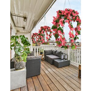 Yapay Çiçek Begonvil Pembe Sarkaç Askılı Saksıda Balkon Çiçeği Çiçek Sepeti