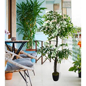 Yapay Ağaç Beyaz Begonvil Ağacı 130cm Doğal Salex Dallı