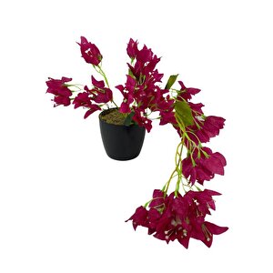 Yapay Çiçek Siyah Saksıda Sarkan Bodrum Begonvil Çiçeği Fuşya 40cm