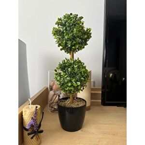 Yapay Ağaç Şimşir Top 2 Toplu 12x40cm Siyah Saksıda