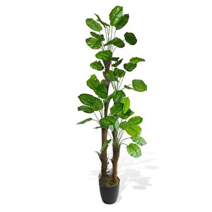 Yapay Ağaç Difenbahya 48yaprak 4katlı 170cm Salon Çiçeği Yapay Çiçek
