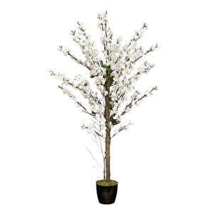Yapay Ağaç Bahardalı Ağacı Beyaz Japon Kiraz Çiçeği Sakura Çiçeği 127x70cm Siyah Plastik Saksılı