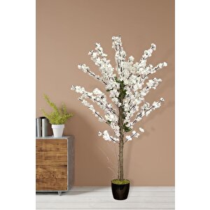 Yapay Ağaç Bahardalı Ağacı Beyaz Japon Kiraz Çiçeği Sakura Çiçeği 127x70cm Siyah Plastik Saksılı