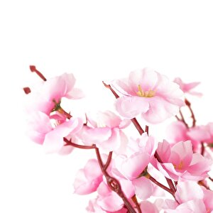 Yapay Ağaç Bahardalı Ağacı Pembe Japon Kiraz Çiçeği Sakura Çiçeği 127x70cm Siyah Plastik Saksılı