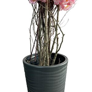 Yapay Ağaç Pembe Sakura Bahardalı Ağacı Siyah Uzun Kumsal Vazoda 200cm