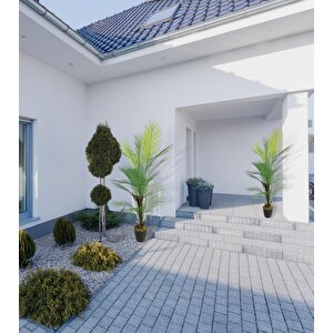 Yapay Ağaç Areka Ağacı Palmiye Ağacı Salon Bitkisi Doğal Palmiye Lifi Gövde 130 Cm 20 Yaprak